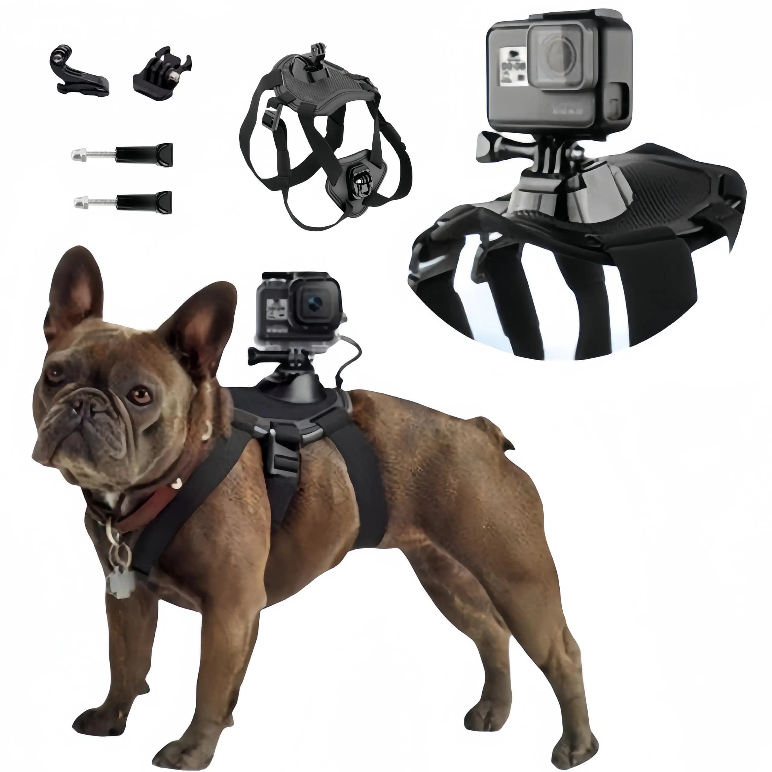 Adjustable Dog Harness for GoPro with 2 Mounting Bases for Small Medium And Large Dogs Compatible with DJI Osmo Pocket Camera In