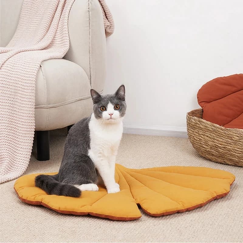 Cuccia per Gatti a Forma di Foglia, Tappetino per Gatti e Cani Reversibile, Copriletto Caldo e Confortevole, Letto per Gatti Stile Cartone Animato