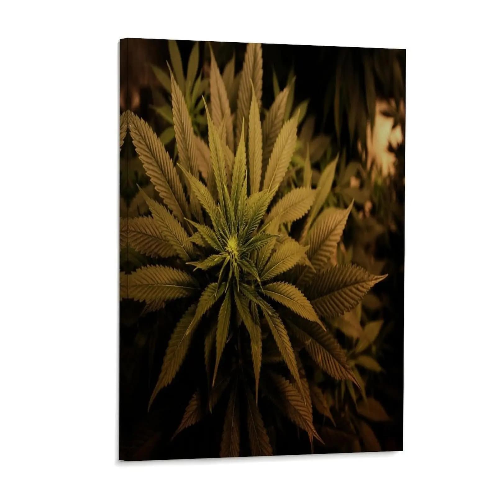 Botanical Green Leaf Poster Modern Botanical Canvas Wall Art Posters Painting Decoration for Home Bedroom Dorm Bathroom Decor Gift