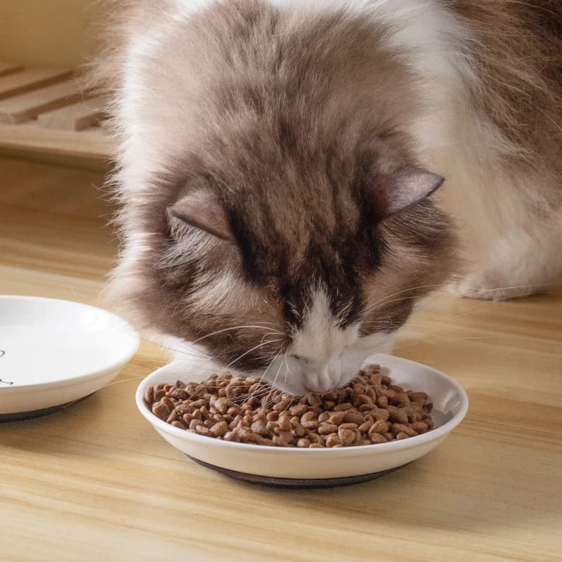 Nuovi Piatti in Ceramica per Gatti con Base Antiscivolo in Silicone, Ciotola per Snack, Ciotola Carina per Cibo e Acqua per Gattini, Accessori per Animali Domestici