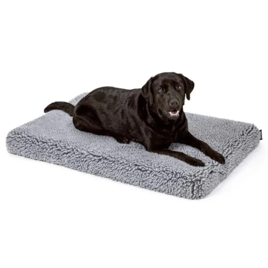 Stoutwool 4 Letto per Cani Indistruttibile - Tappetino Ortopedico Anti-Morso per Gabbia - Materassino Morbido per Cani che Masticano Aggressivamente - Ideale per