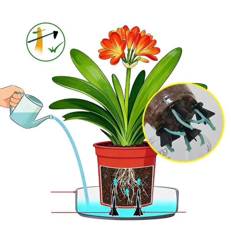Set of 8/12 Pieces Water Absorbers for Plants in Vase, Self-Irrigation Tool with Sharp Toe for Domestic Flowers