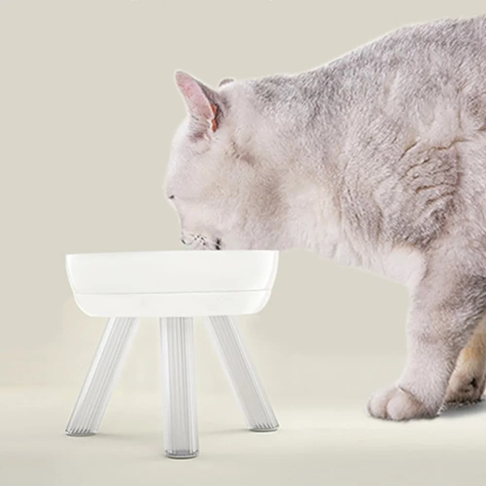 Spine Protective Elevated Cats Dog Bowl Stand Non Slip Base Plastic Pet Food Bowl Holder Pet Feeding Bowl for Dogs Cats