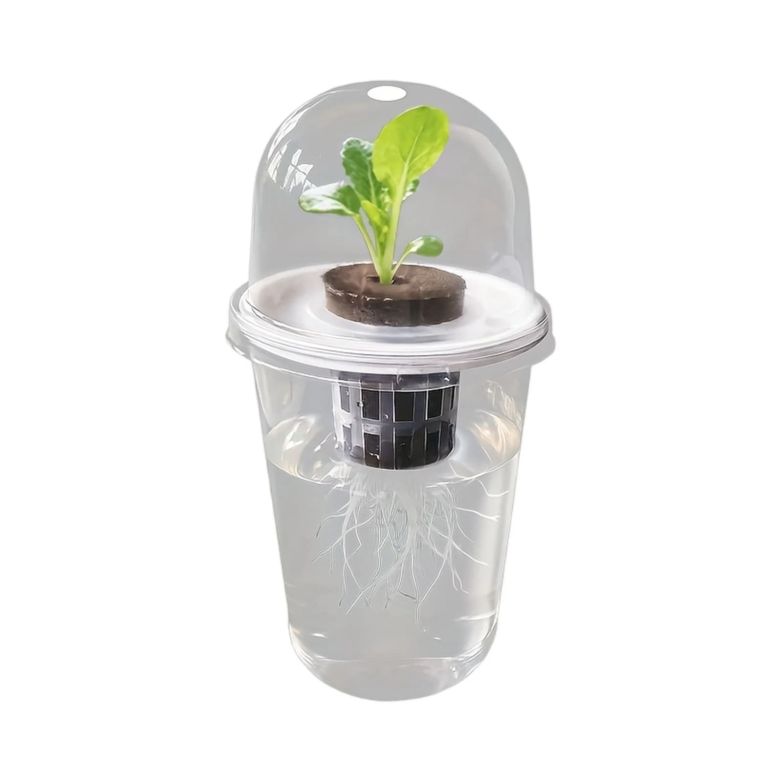 Kit di Coltivazione Idroponica Cilindrico Trasparente in Plastica, Contenitori Idroponici con Cestello di Supporto Traspirante per Fiori e Semi