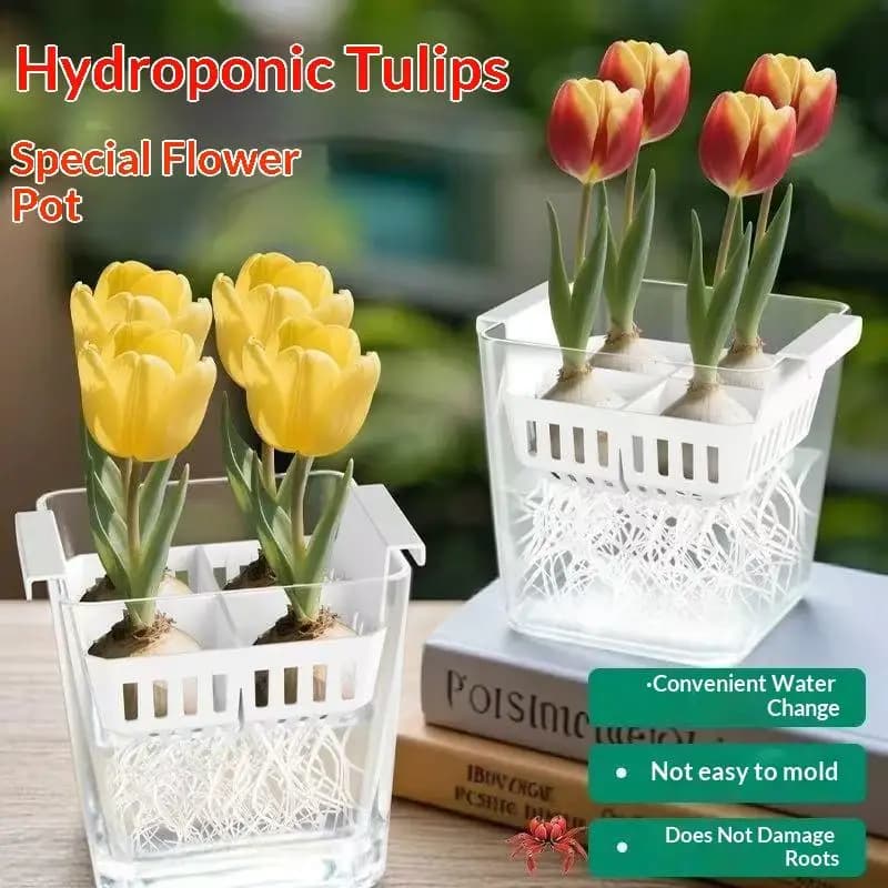 Breathable Hydroponic Containers, Seed Support Basket, 4 Holes Hydraulic Vase, Silly-Free Flower Jar, Home Decoration, Gift