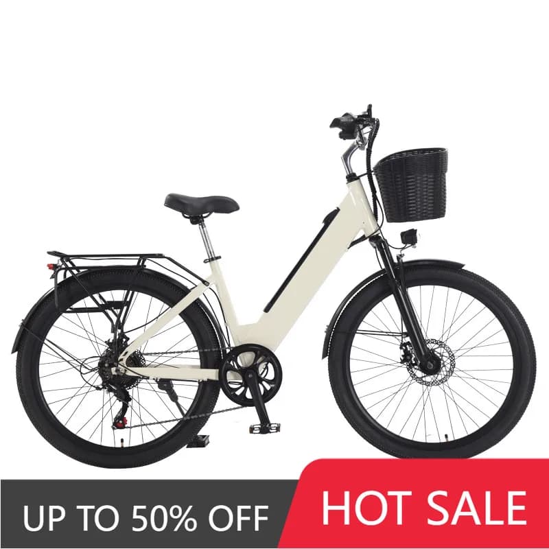 EER Ex-factory price hot-selling smart electric bicycle 36V lithium battery rear wheel hub motor 7-speed large color screen