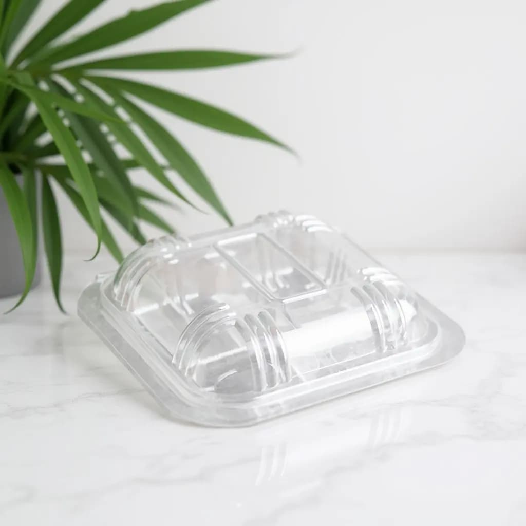 100pcs Transparent Packaging Box Hinged Lid Four Grid Food Container For Salad Fruit Storage Clear Case Leak Resistant
