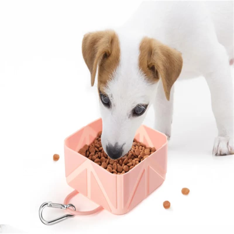 Ciotola da viaggio per animali domestici - Ciotola pieghevole per cani e gatti - Ciotola portatile in silicone per bere all'aperto - Ciotola per cibo per cani - Ciotola per gatti - Campeggio