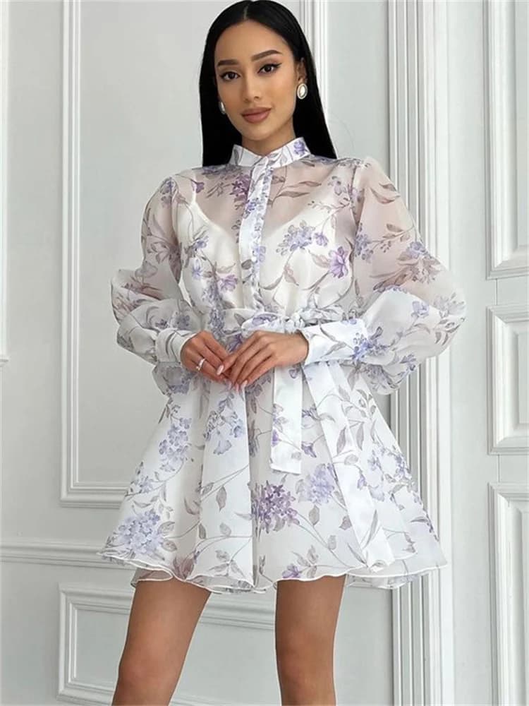 Abito Mini Stampato alla Moda con Lacci, Elegante Vestito Femminile con Volant e Maniche Lunghe Trasparenti, Abito Aderente Estivo