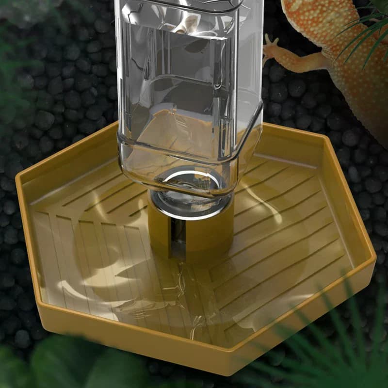 1PCS Rettili Distributore di Acqua Ciotola Alimentatore di Cibo Bottiglia di Acqua Per Reptili Pet Antiscivolo Distributore di Acqua Automatico Per Lucertole