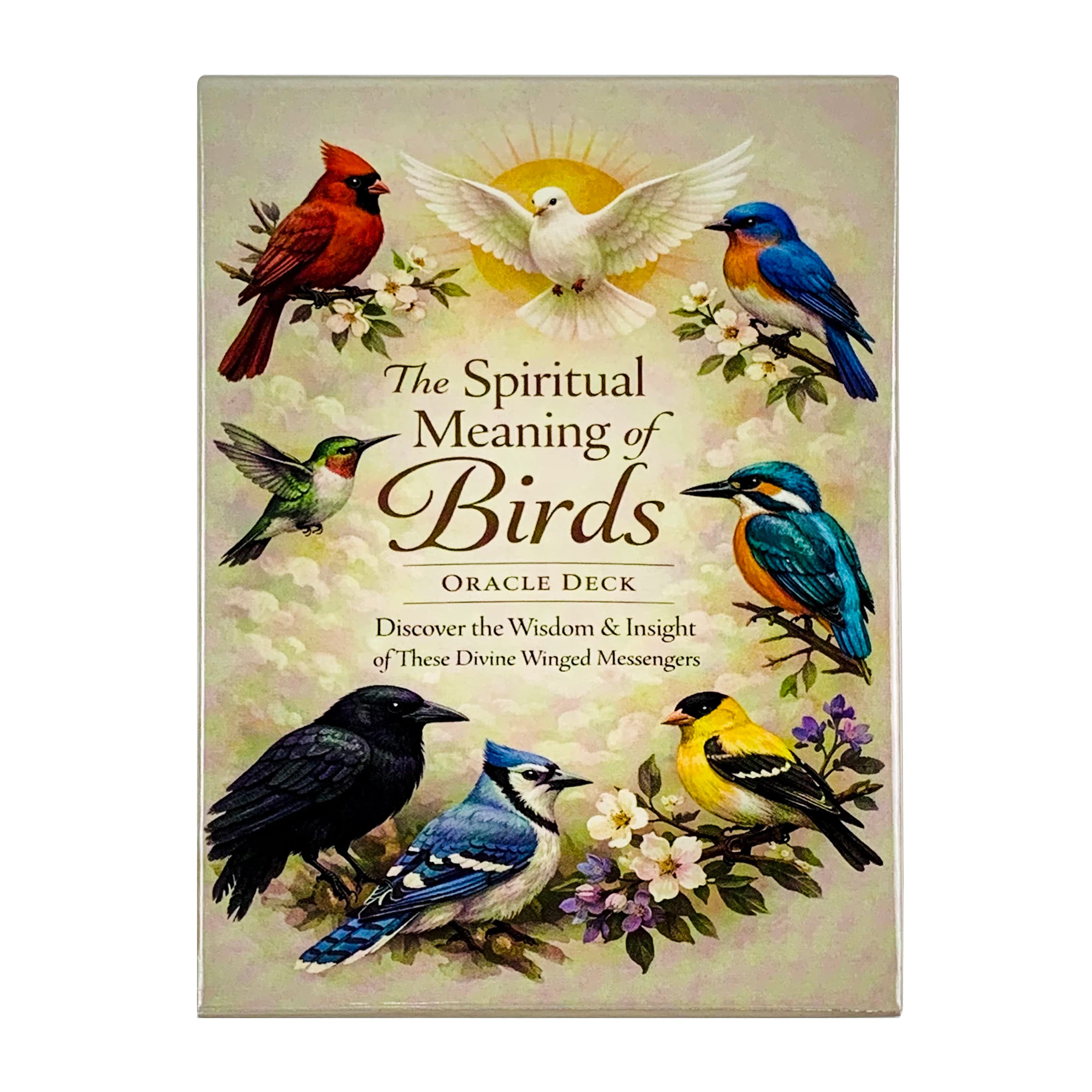 New The Spiritual Meaning Of Oracle Cards 10.2*7.4CM 50pcs Cards Discover The Wisdom & Insigt Of These Divine Winged Messengers
