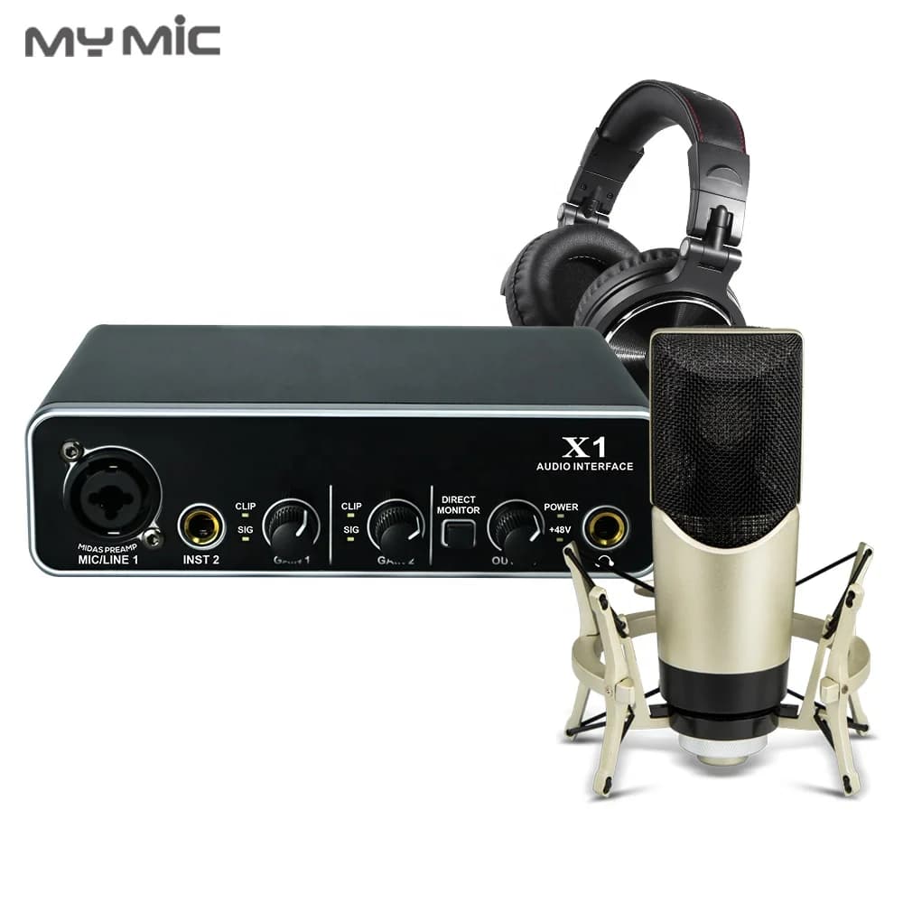 Microfono a Condensatore Professionale per Studio, Scheda Audio, Interfaccia Audio con Alimentazione 48V per Registrazione Vocale in Studio