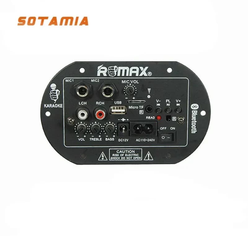 SOTAMIA Mono Subwoofer Amplifier Board Dual Microphone K Song Bluetooth Power Amplifier Car Amp 30W DIY 3-6Inch Speaker 12V 220V