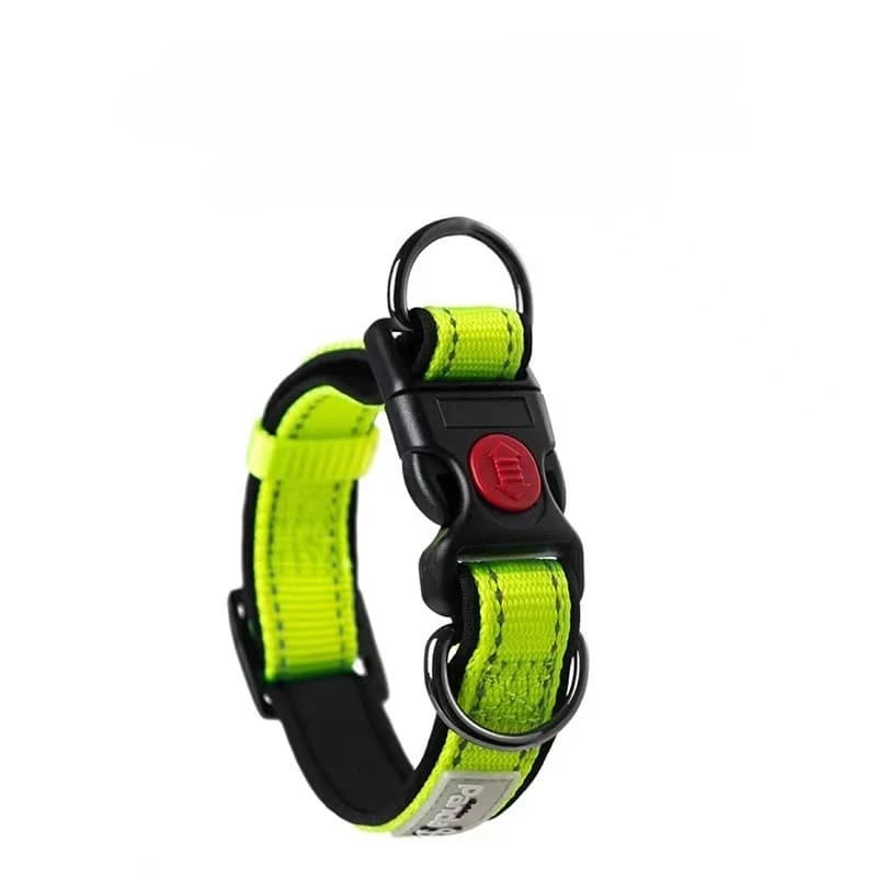 Collare per cani con doppie fibbie a D, collare in nylon per gatti, accessori per animali domestici riflettenti e resistenti