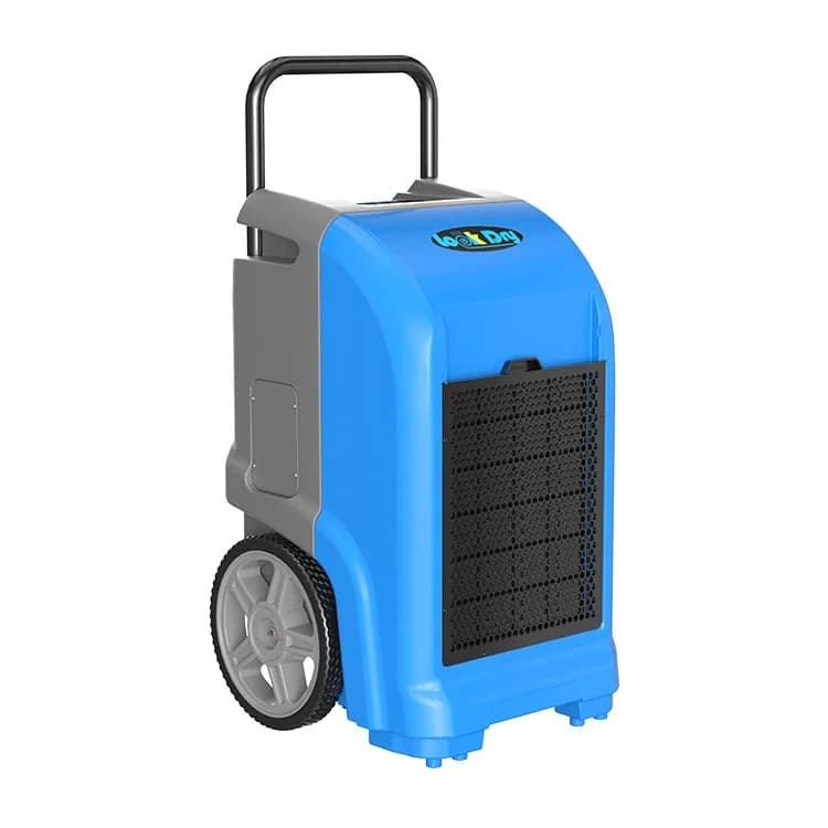 Deumidificatore Domestico e Commerciale Direttamente dalla Fabbrica, Deumidificatore Portatile da Tavolo per Casa, Garage e Depositi ATV/UTV