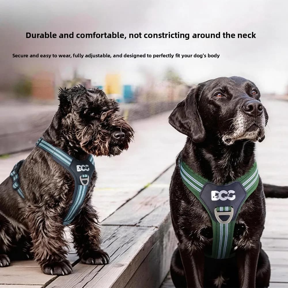 Dog chest back highlight strong reflection safety leash pet chest strap durable and comfortable without neck restraint dogcollar