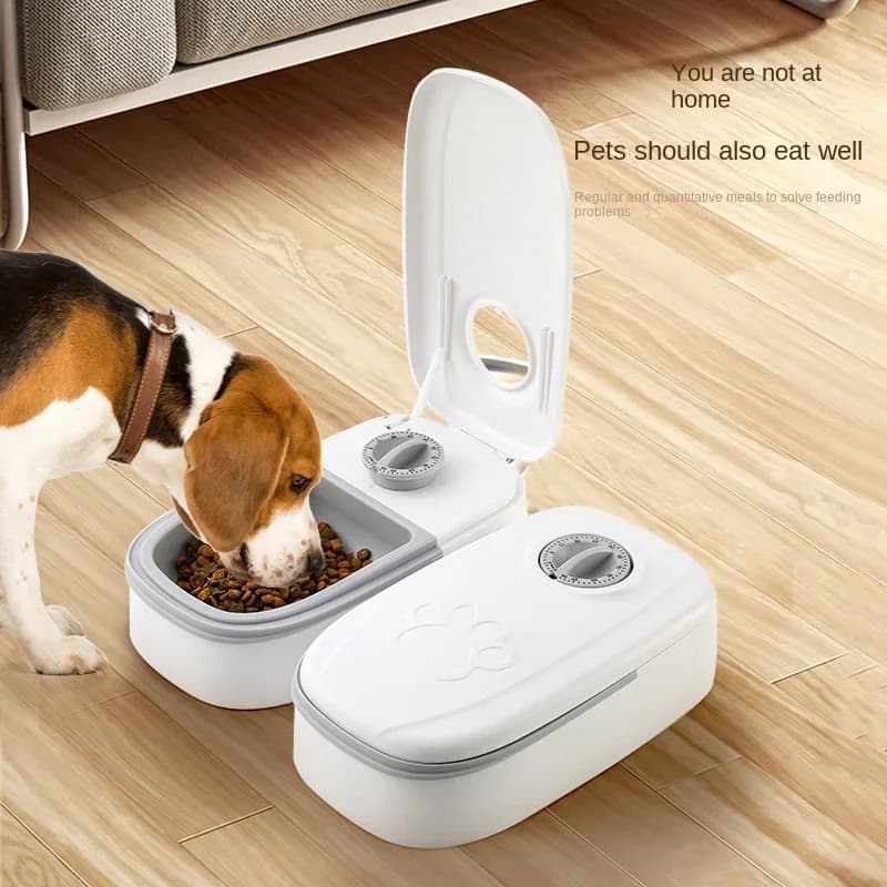 Alimentatore per cani Ciotola per acqua con alimentazione automatica per gatti con timer Contenitore per dispenser per alimenti per animali domestici Accessori per cuccioli di gattini