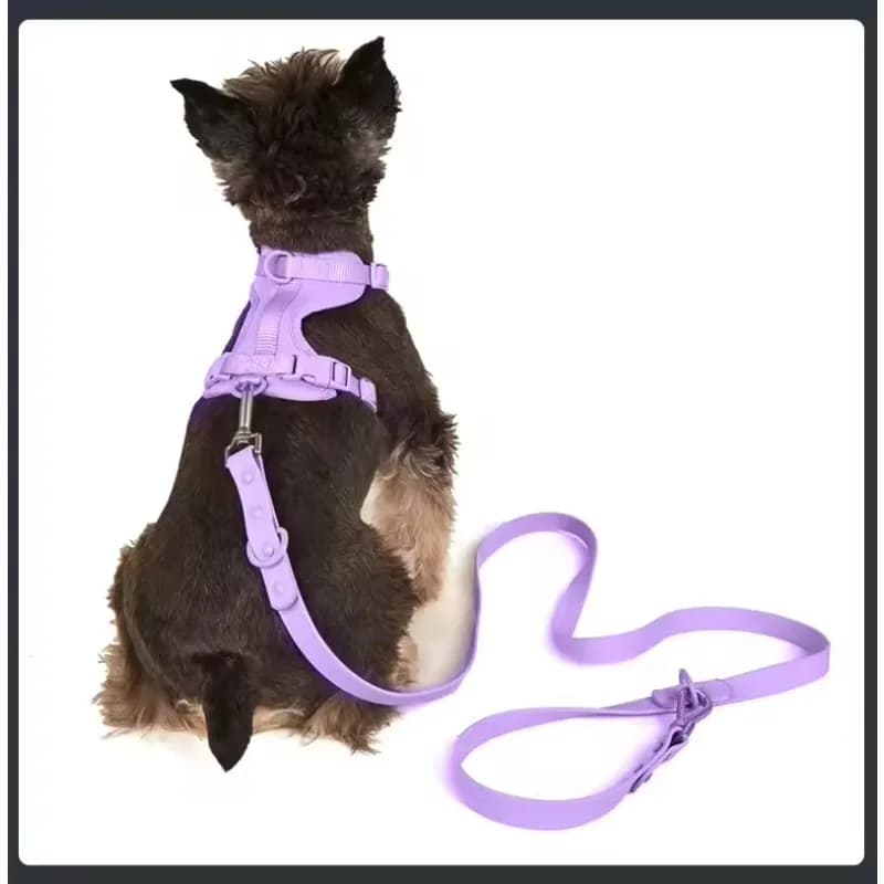 Reflective Nylon Sport Style Dog Harness Leash and Collar Set 3-in-1 Adjustable Durable Harness for Outdoor Training