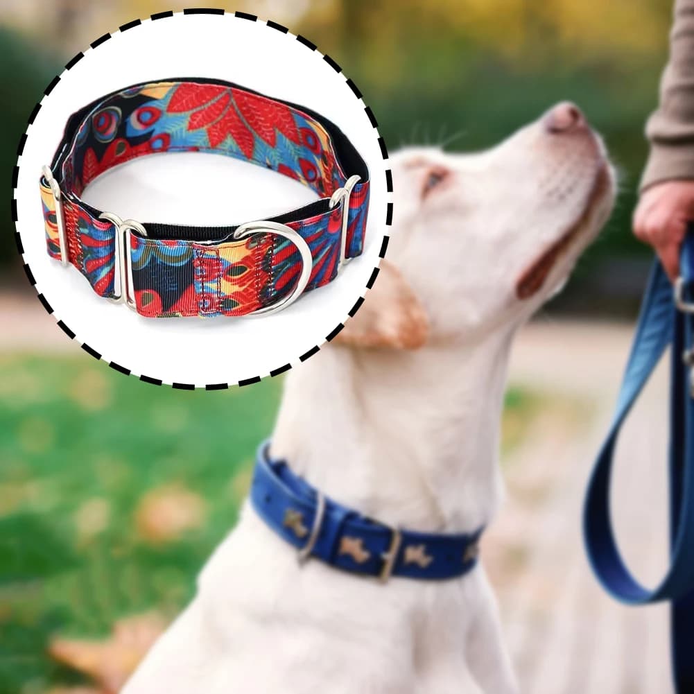 Collare per cani con reef super resistenti in tessuto personalizzato fatto a mano Collare martingale regolabile resistente allo strappo per cani di piccola taglia