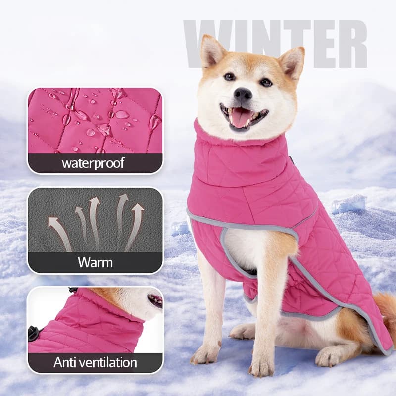 Cappotto invernale per cani in pile di velluto caldo Giacca riflettente impermeabile Giacca imbottita in cotone per animali domestici per cani di taglia media
