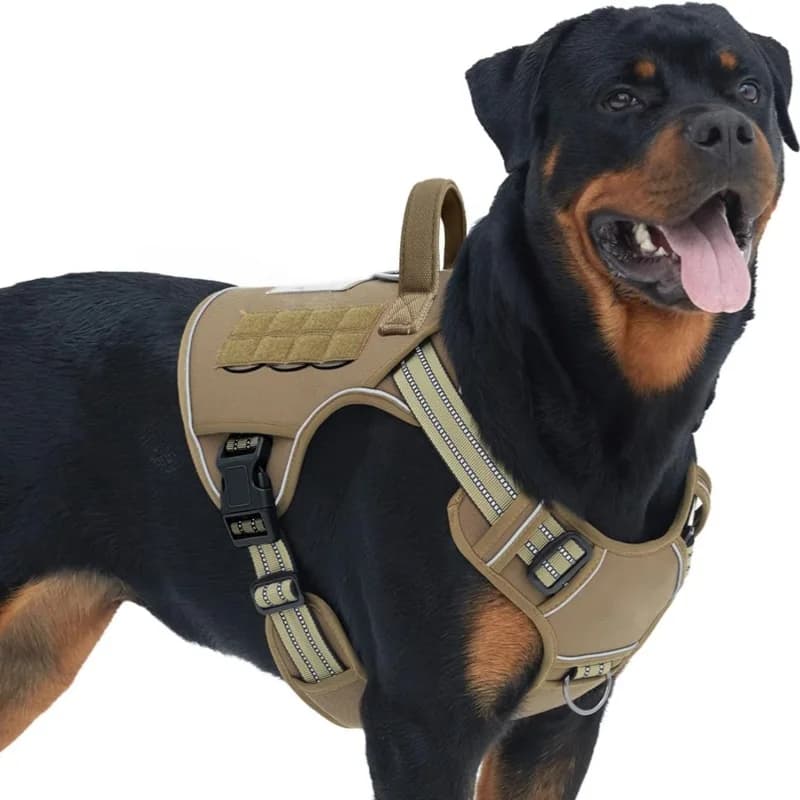 Cintura toracica tattica per animali domestici Cintura per cani di grandi dimensioni in pelle per esterni con manico Gilet in pelle regolabile