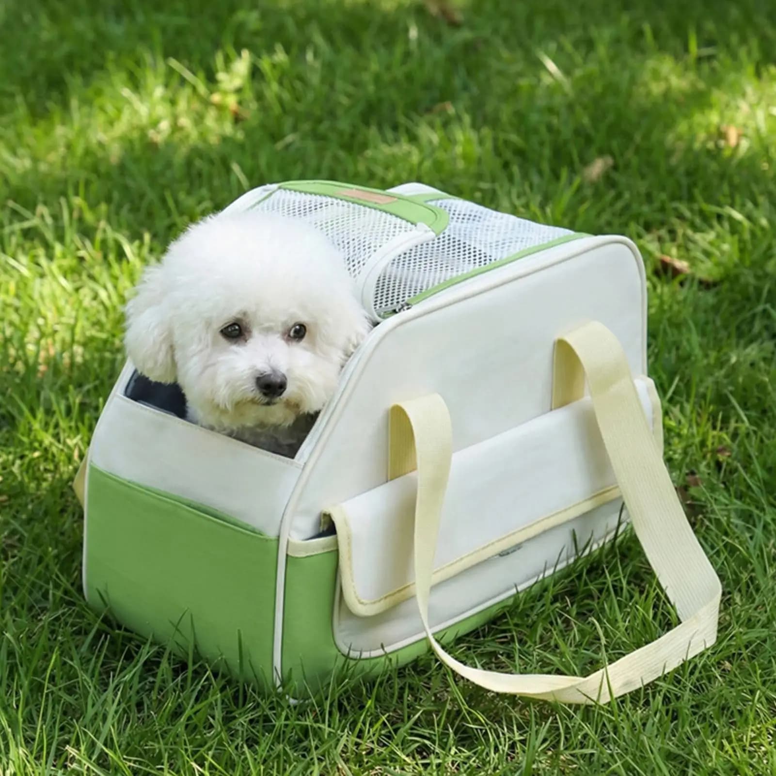 Pet Carrier For Dogs Waterproof Breathable Smooth Zipper Comfort Handle Purse Small Pet Carrier Cat Carrying Bag For Kitten