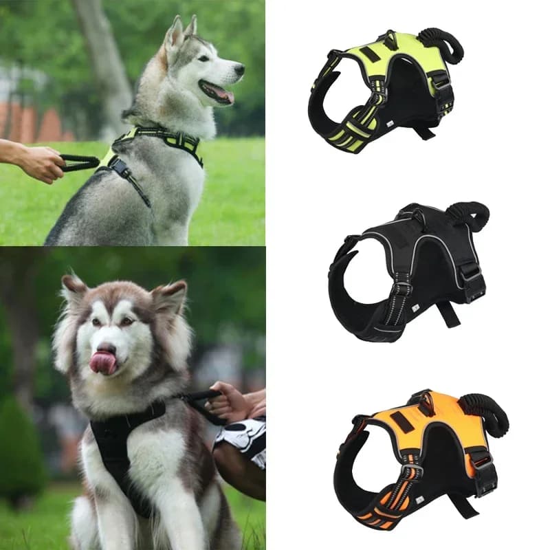 Pettorina per cani riflettente senza maniglia di controllo Pet Dog Walking Lead Vest Imbracatura imbottita morbida per cani di taglia piccola, media e grande
