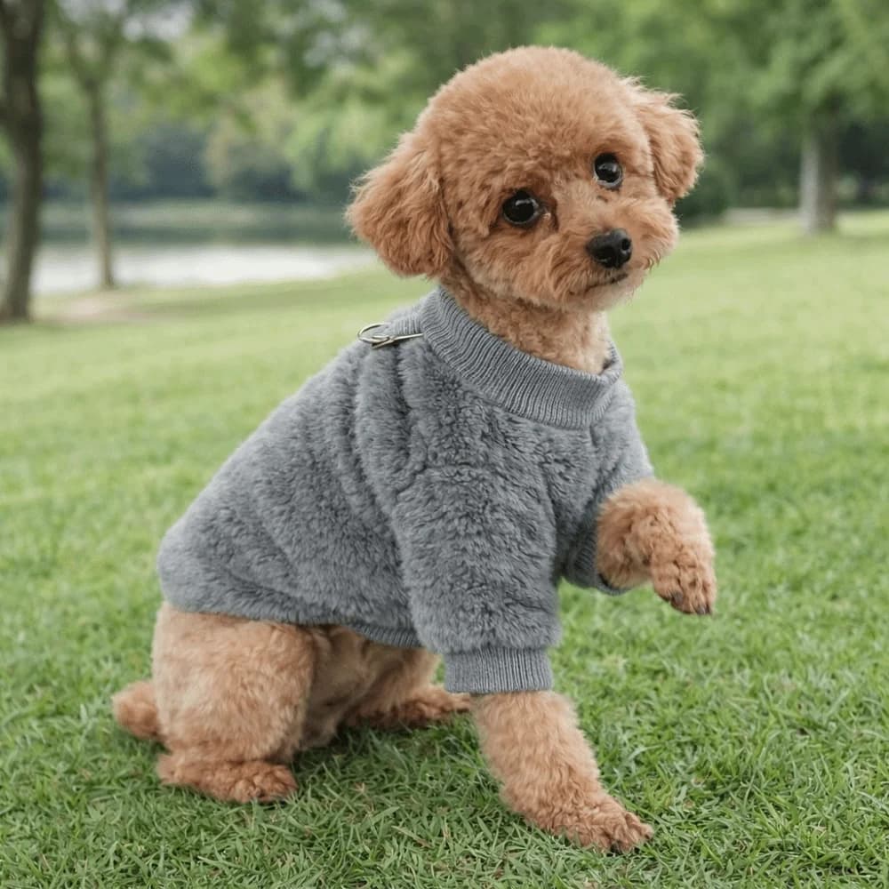 Felpa per Cani in Pile Spesso, Abbigliamento Invernale Caldo per Cuccioli con Anello di Trazione, Morbida Felpa con Cappuccio per Cani da Esterno