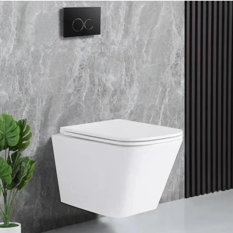 Toilette intelligente sospesa a parete con serbatoio Wc Pan Toilette tozza Pulsante a cisterna nascosto