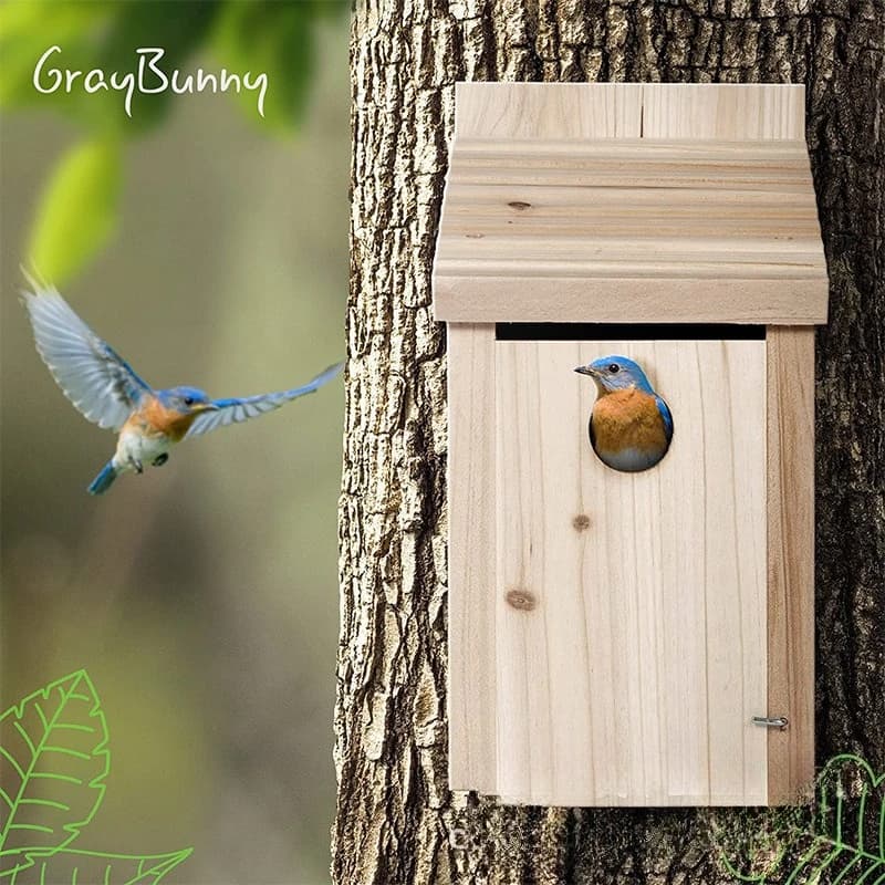 Casetta per Uccelli in Legno da Esterno, Nido Naturale per l'Allevamento di Uccelli, Decorazione da Giardino, Giocattoli e Regali per Bambini per Osservare gli Uccelli