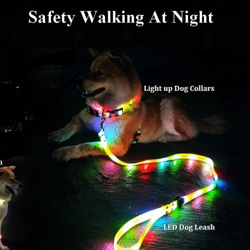 Guinzaglio per cani illuminato con collare Set Corda in PVC impermeabile USB ricaricabile che si illumina al buio Sicurezza visibile Camminata notturna