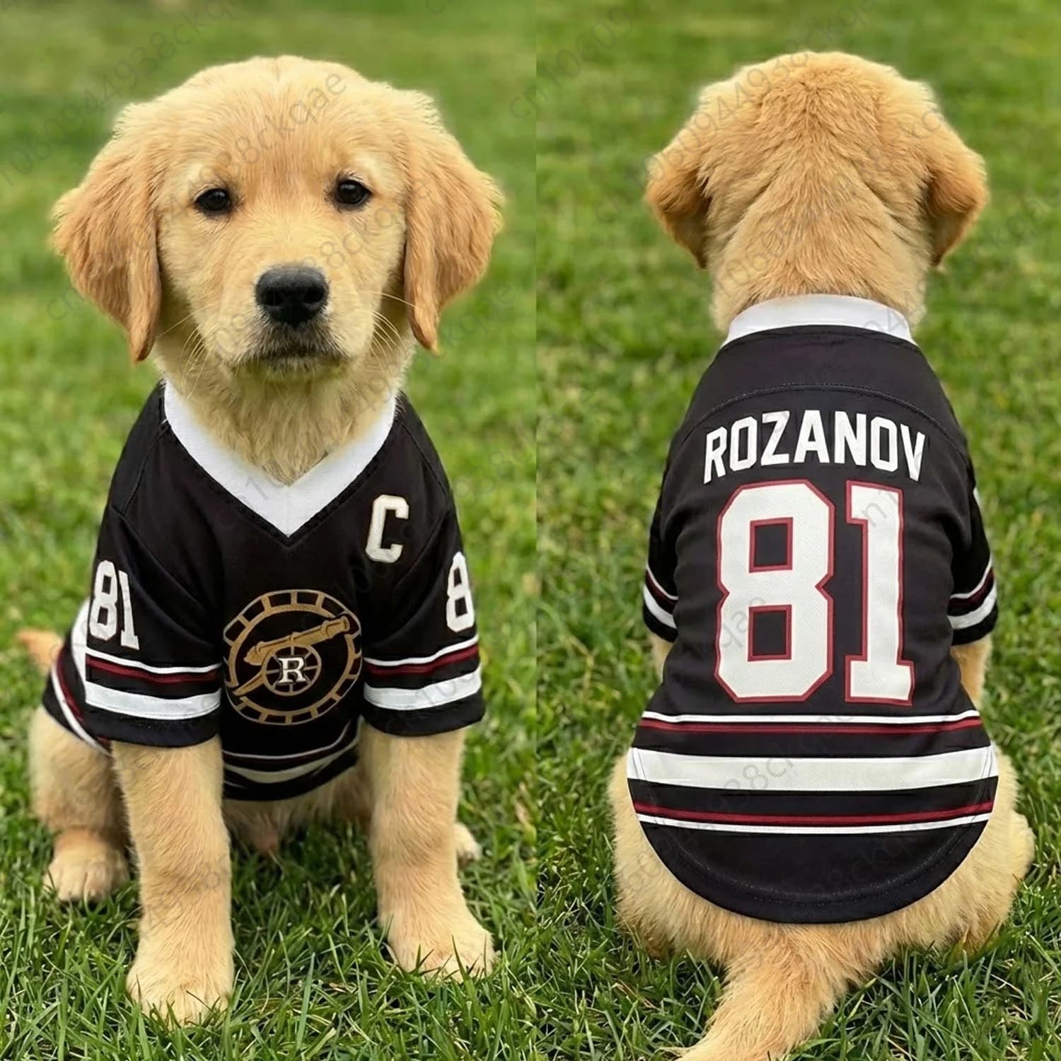 Maglia per Cani 2026 Rozanov 81, Maglietta Riscaldata per Animali Domestici Rivality, Gilet da Hockey Boston Raiders, Costume per Cuccioli e Gatti, Outfit Coordinato, Regalo