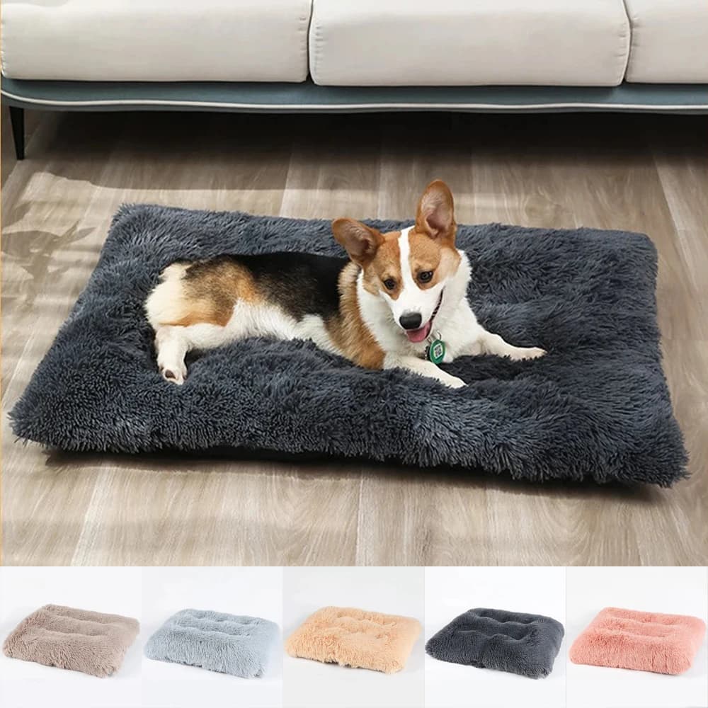 Cuccia per Gatti Piccoli Imbottita e Calda, Tappetino Morbido per Cani Medi, Cuscino Traspirante per Cuccioli, Accessori per Cuccia