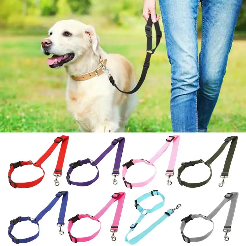 Cintura di sicurezza per auto per cani Cintura di sicurezza per cani regolabile Cintura di sicurezza per auto per cani Secure al poggiatesta del veicolo per cani di piccola taglia, media e grande