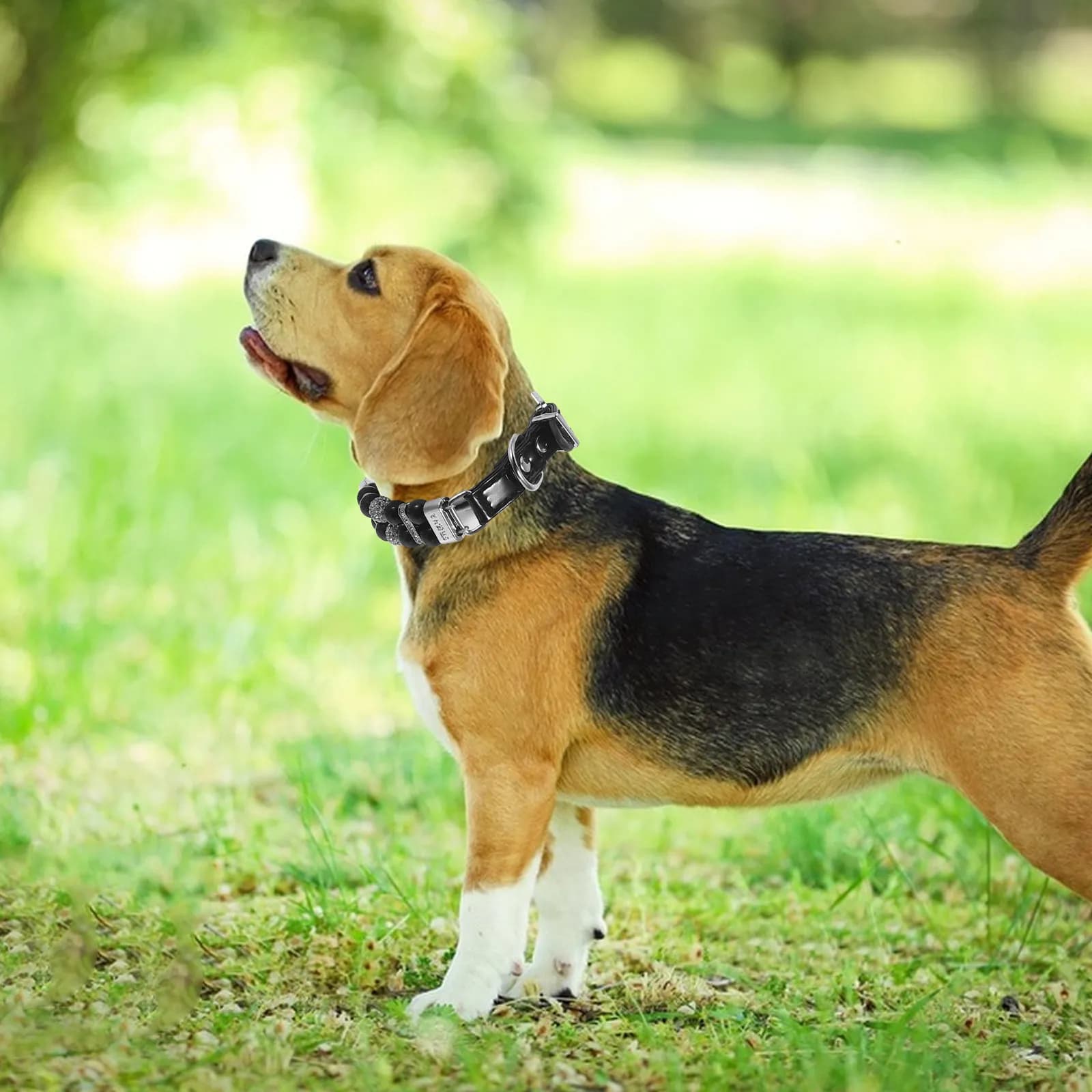 Collare per Cani con Perle Grandi per Cani Piccoli, Cuccioli e Gatti, Collana Regolabile per Animali Domestici, Accessorio di Moda Carino per Matrimoni e Feste di Compleanno