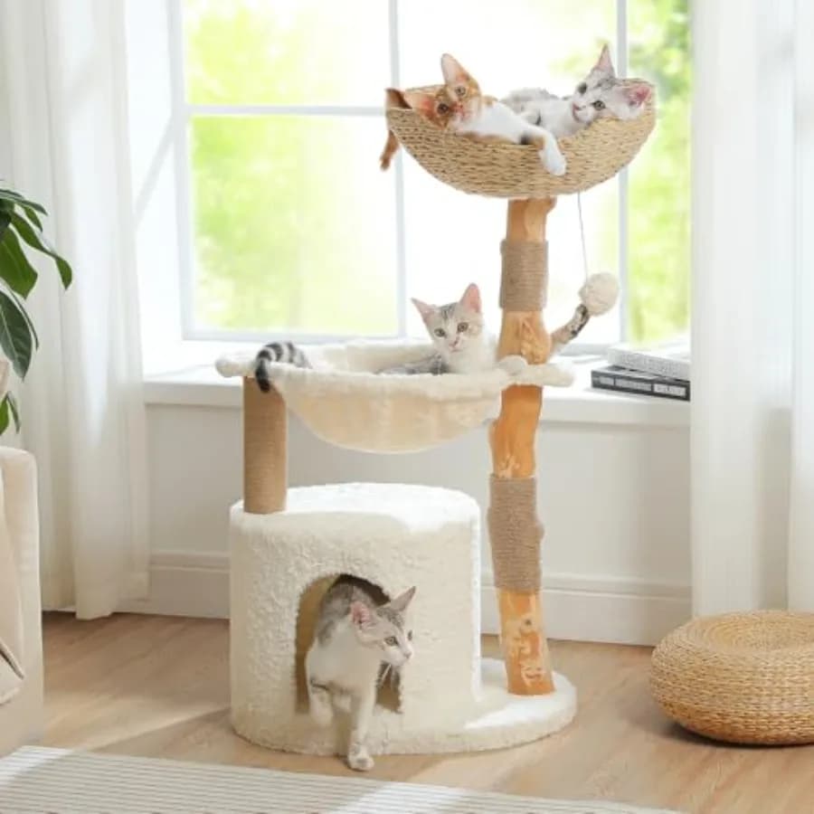 Albero per Gatti Moderno con Tiragraffi in Legno Naturale Massiccio, Torre per Gatti da 40 Pollici con Ampio Cesto in Vimini, Grande Amaca, Lusso Co