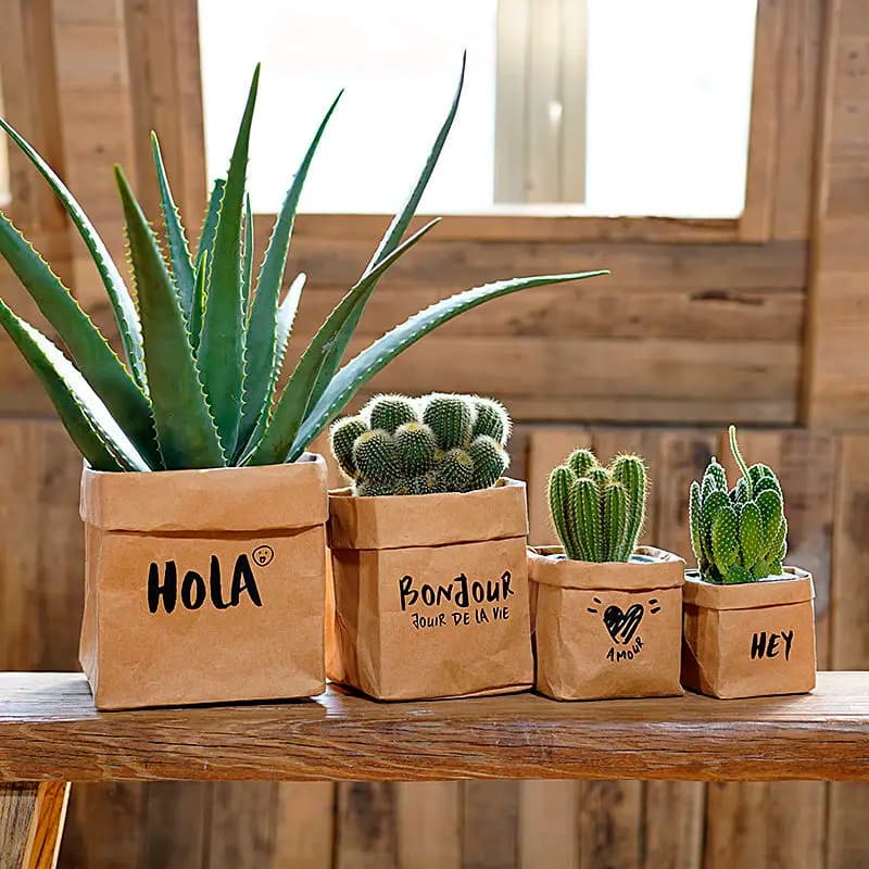 Confezione da 4 sacchetti di carta Kraft lavabili, addensati ecologici, decorativi per fiori secchi, vasi per piante, frigorifero e conservare frutta.