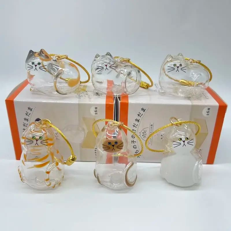 Nuovo prodotto disponibile Scatola portaoggetti trasparente per capelli di gatto Decorazione sospesa Scatola cieca Capsula portaoggetti per capelli di gatto Ornamento da tavolo