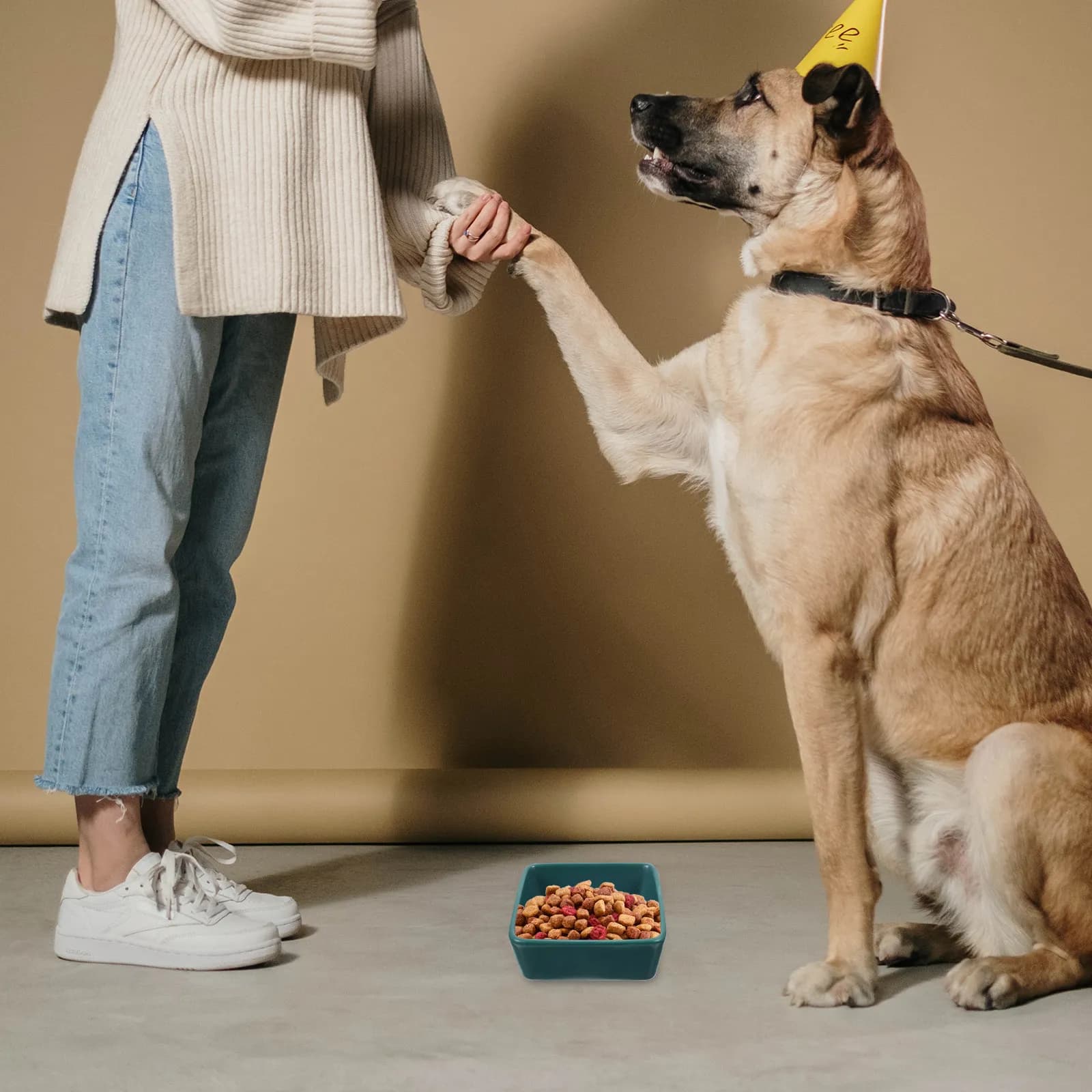 Set di 1 Ciotola in Ceramica per Gatti, Resistente ai Morsi, Facile da Pulire, con Base in Legno Stabile, Ciotola per Acqua e Cibo per Gattini, Protezione per l'Alimentazione degli Animali Domestici