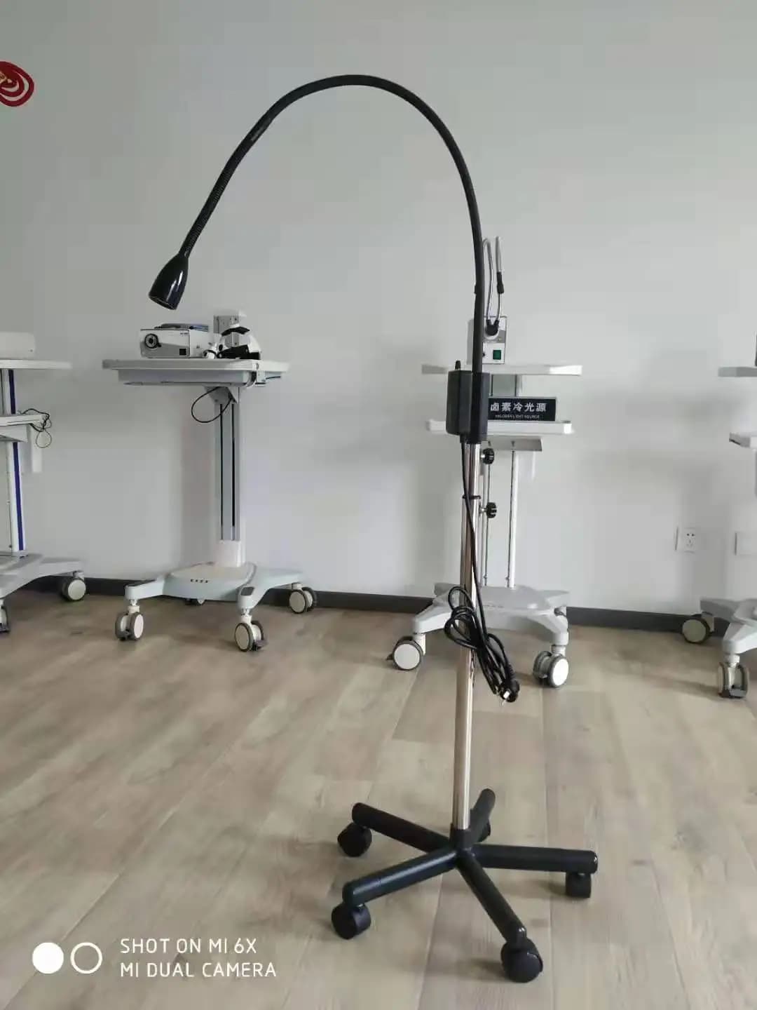 Floor Stand 3W Economical ENT Dental Tattoo Gynecology Medical Examination Light