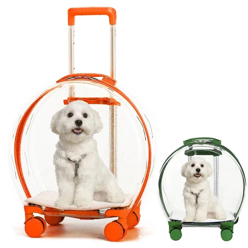 Trasportino Trasparente per Animali Domestici con Ruote, Borsa per Cani e Gatti, Passeggino per Animali, Borsa da Trasporto per Viaggi