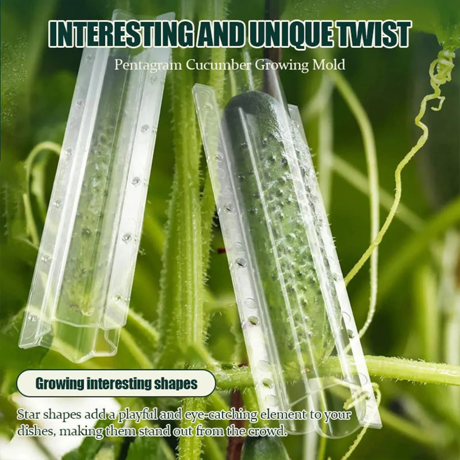 Cucumber Shaped Growing Mold for Garden - Transparent Plastic Heart & Star Fruit Vegetable Planting Tool for Home Gardening