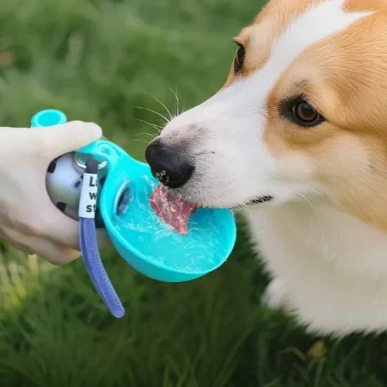 Bottiglia d'acqua per animali domestici in acciaio inossidabile da 1 pezzo, tazza da viaggio a prova di perdite da 285 ml per cani e gatti, pronta per l'avventura con ciotola pieghevole