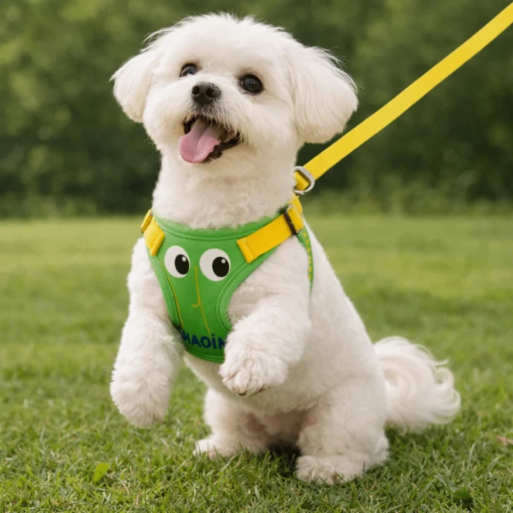 Pettorina Regolabile per Cani con Guinzaglio, Fantasia Occhi Grandi, Cartone Animato, Traspirante e Confortevole per Passeggiate Quotidiane