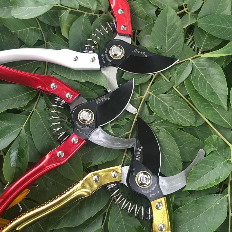 Garden shears Shear scissors Hand-cutting tool Sharpened blade Safety lock Automatic rebound Non-slip handle