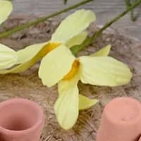 12 pezzi casa delle bambole 1:12 vaso da fiori in miniatura fatto a mano vaso di argilla rossa casa da giardino