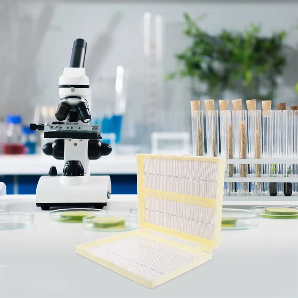 2 Pezzi Scatola Porta Vetrini per Microscopio, Organizzatore da Laboratorio Scientifico, Strumento Didattico Medico, Forniture per Biologia e Chimica