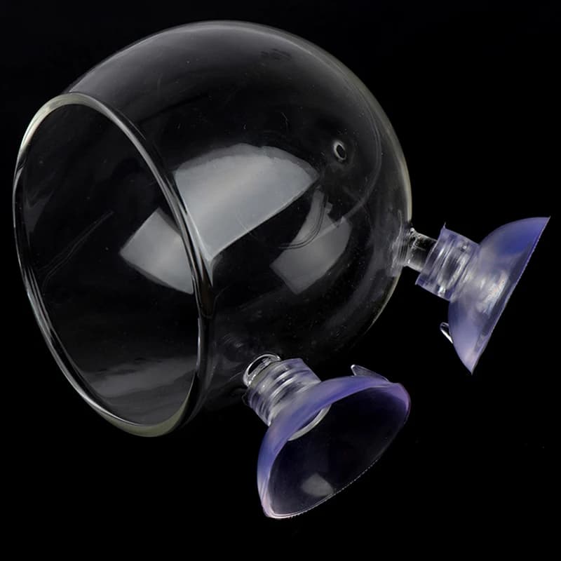 Mini Crystal Glass Fish Tank Aquatic Plant Pot Water Potted Cylinder Cup