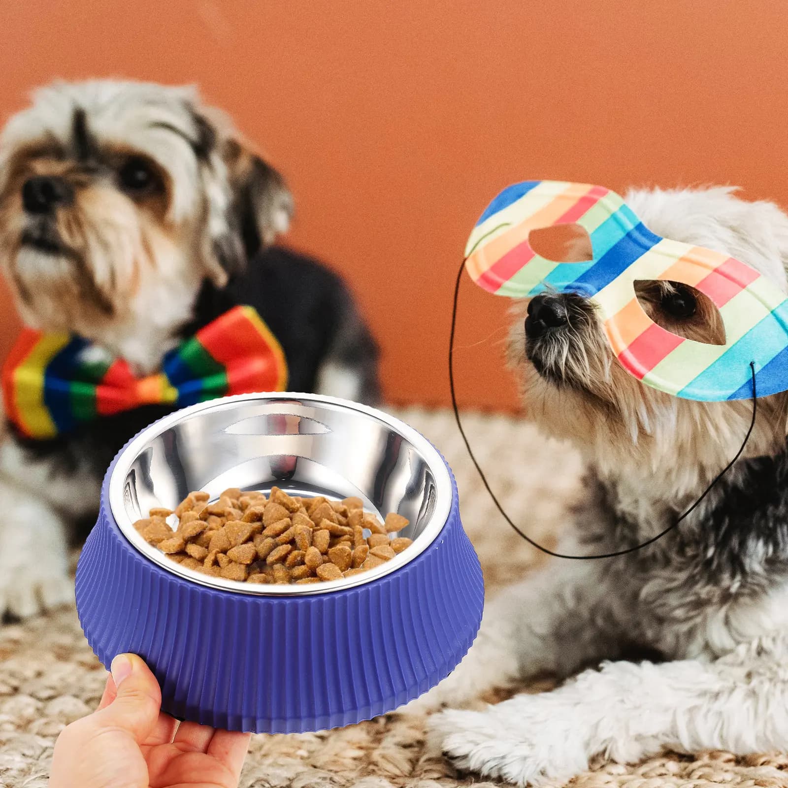 Set di Ciotole per Cani in Acciaio Inox, Staccabili e Antiribaltamento, Ciotola Rialzata per Acqua e Cibo per Gatti e Cuccioli, Ciotole per Cani da Interno