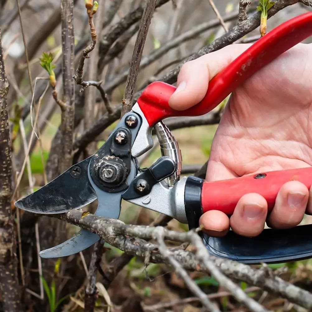 20 Pezzi Molle in Acciaio di Ricambio per Forbici da Potatura, Accessori Durevoli per Cesoie da Giardino, Molle di Precisione per Potatura
